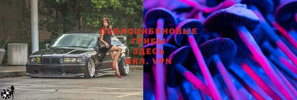 молекула духа Вязьма