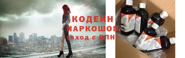 молекула духа Вязьма
