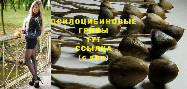 молекула духа Вязьма