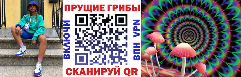 как найти закладки  Плёс  Галлюциногенные грибы мицелий 